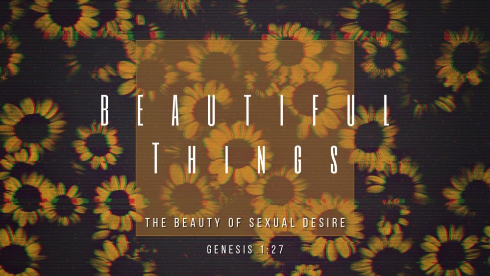 The Beauty in Sexual Desire