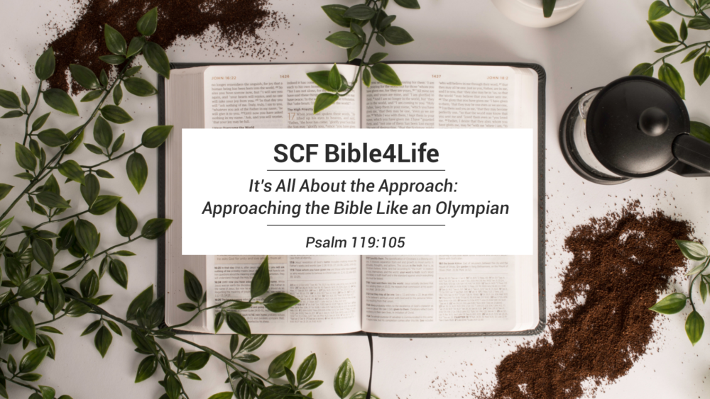 SCF Bible4Life