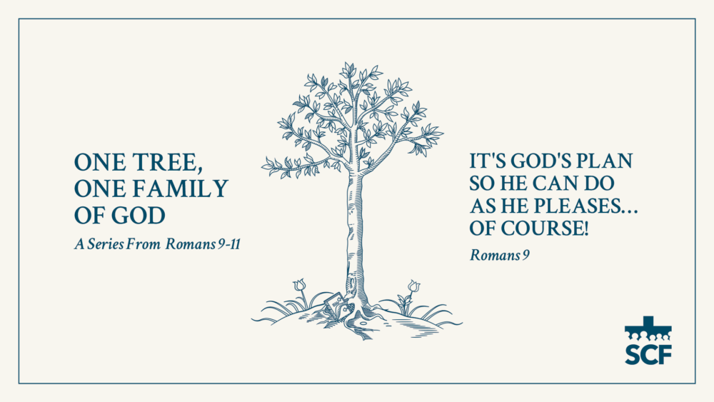 One Tree, One Family of God: A Series from Romans 9-11