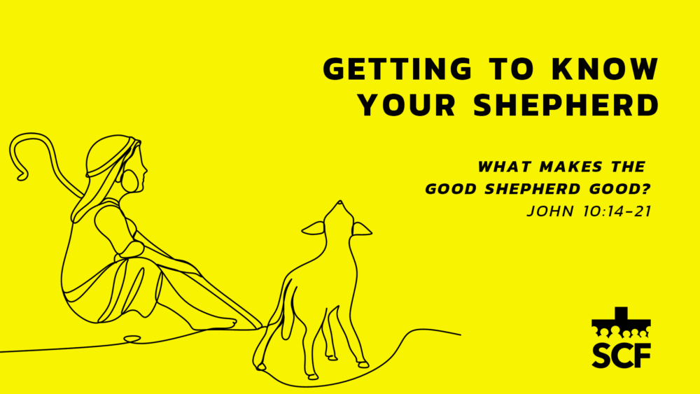 What Makes The Good Shepherd Good?